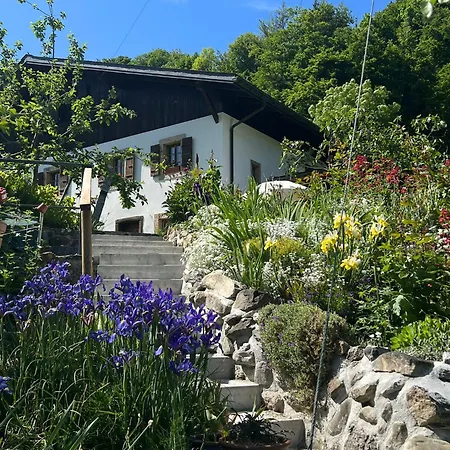 Bed & Breakfast Le Petit Ruisseau