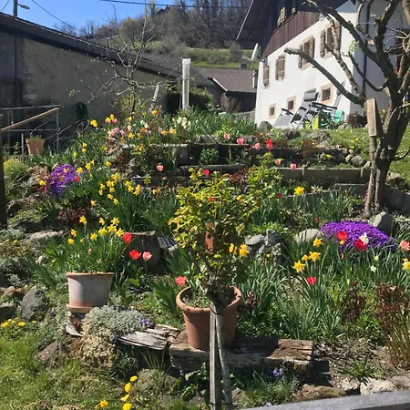 Le Petit Ruisseau
